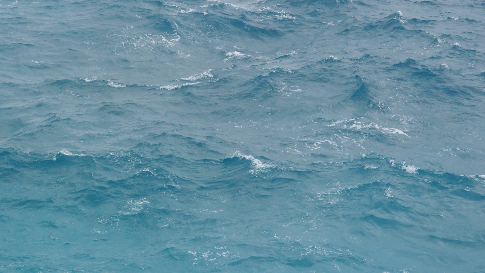 2022-11-05 14 Uhr 23 das Meer (Audio, Video)